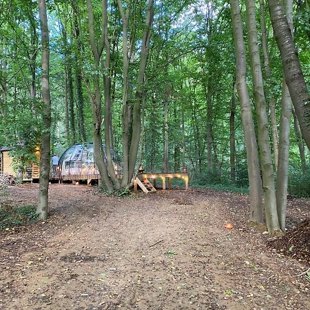 Le Dôme de Namur - Logement en pleine nature Extérieur photo