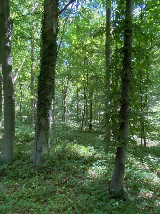 Le Dôme de Namur - Logement en pleine nature Extérieur photo