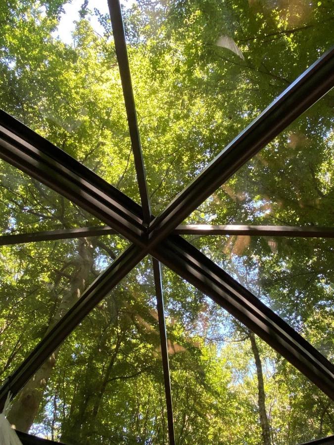 Le Dôme de Namur - Logement en pleine nature Extérieur photo