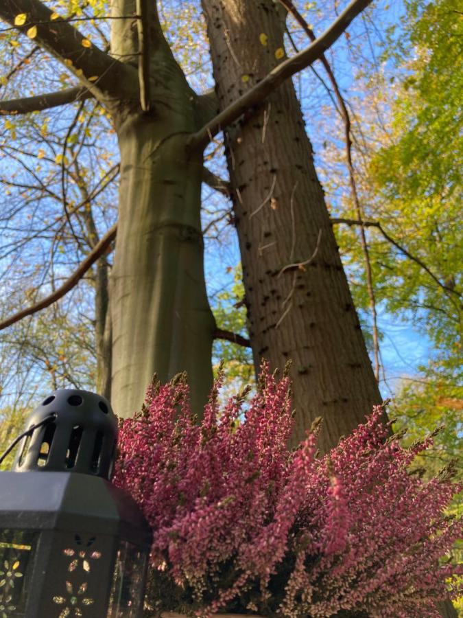 Le Dôme de Namur - Logement en pleine nature Extérieur photo