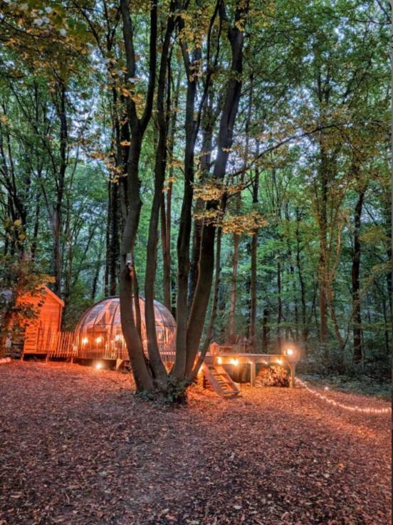 Le Dôme de Namur - Logement en pleine nature Extérieur photo