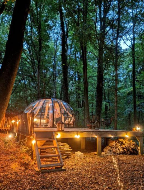 Le Dôme de Namur - Logement en pleine nature Extérieur photo